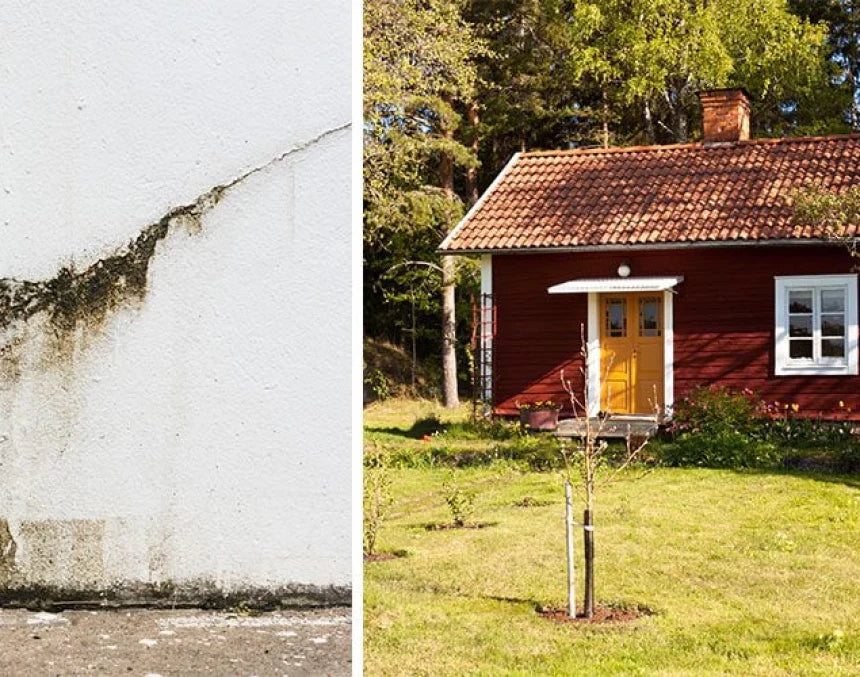 Norrländska prylen som omvandlar syre – och angriper mögelsporer