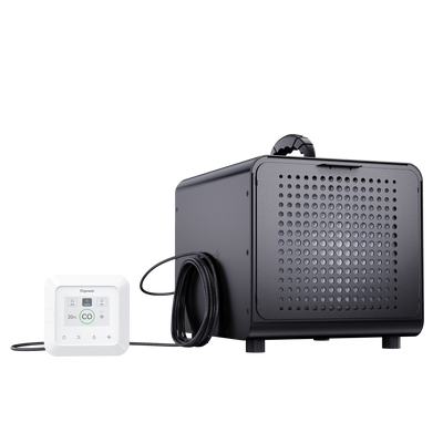Guard Plus